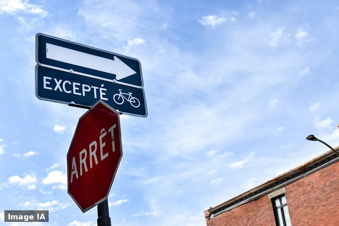 NIC et ZIC: deux circuits selon le point d'entrée, en ligne ou à l'arrivée